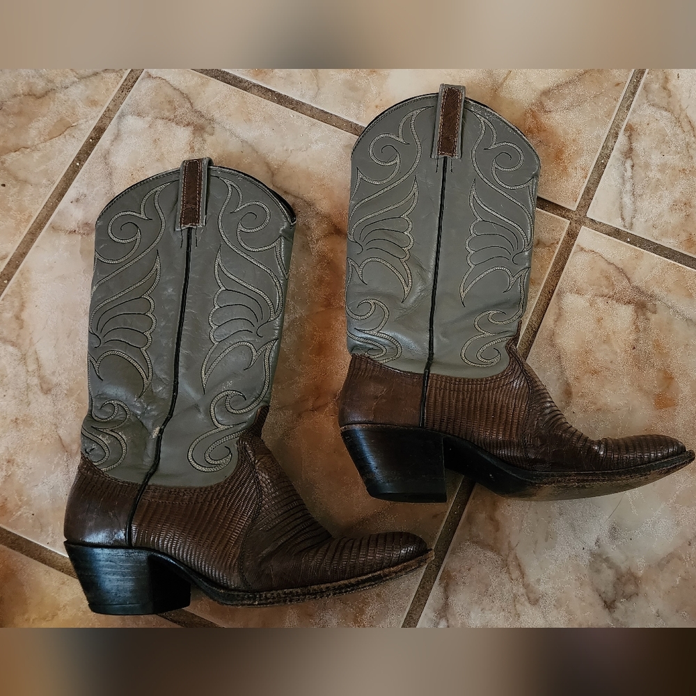 Dan Post Snake Skin Cowboy Boots